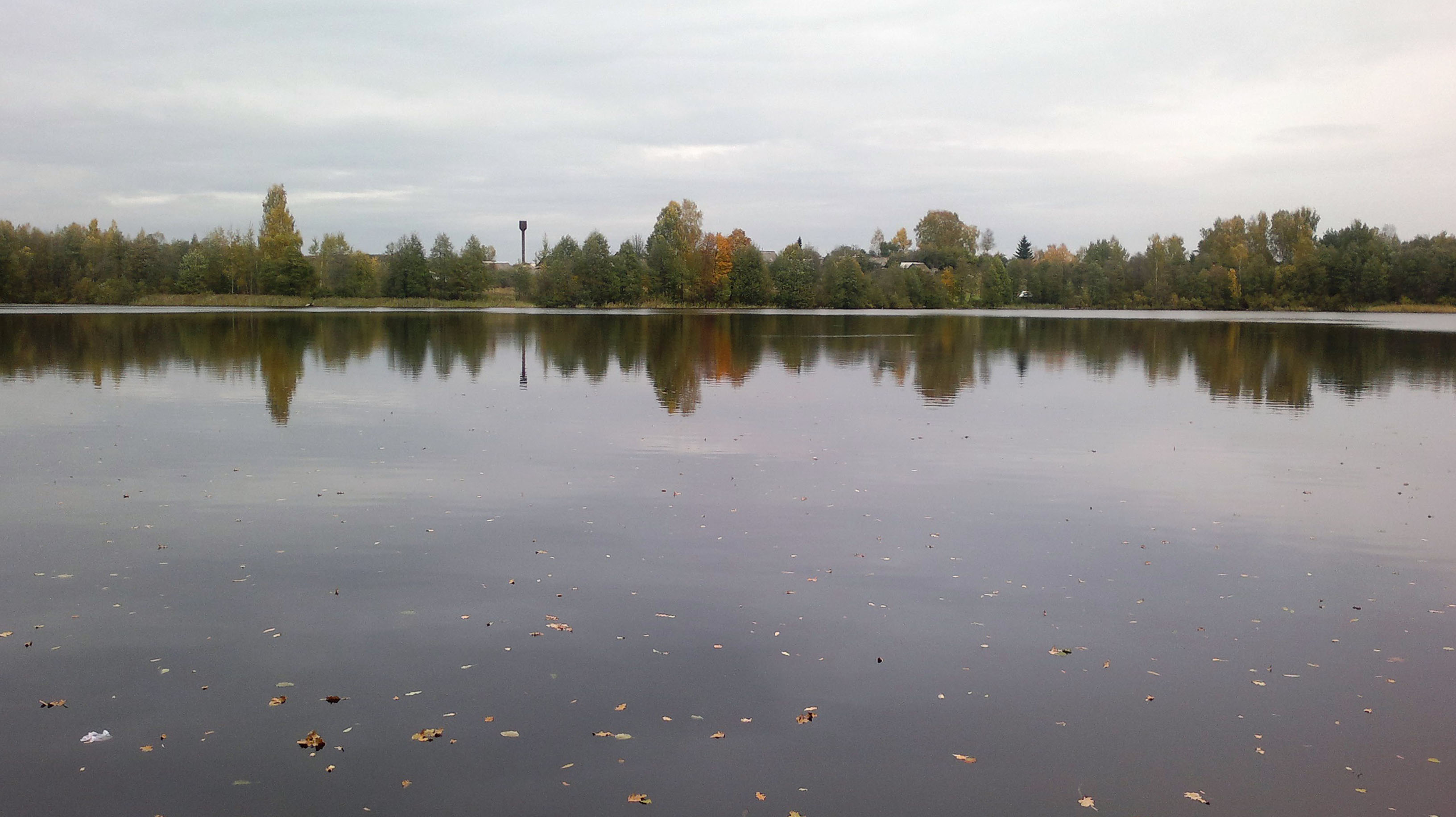 Полибинское озеро. 2013 год.